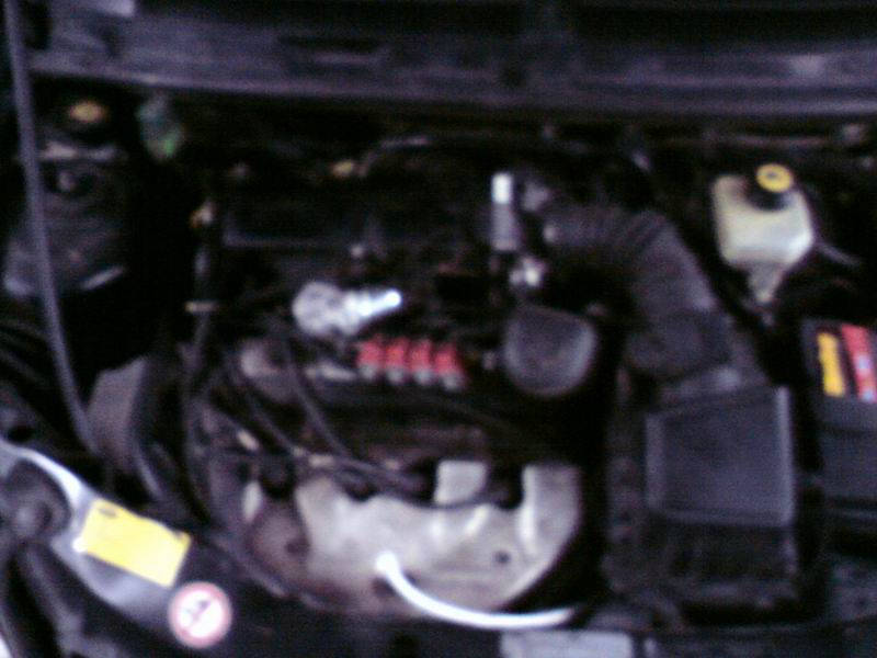 Ford Mondeo & C-Max 1.6 / 2.0 Duratec Sıralı LPG Montajı