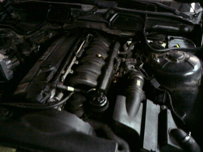 BMW E46 318i / 320i Sıralı LPG Montajı - Fotoğraf 4